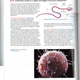 Image for article titled These Are The Pages Being Ripped From A Biology Text Book In Arizona